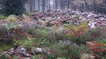 Arrolamendi II tumuloa 3