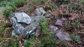 Arrolamendi III tumuloa 3