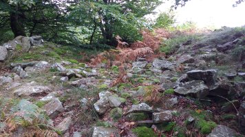 Jentiletxe tumuloa 4