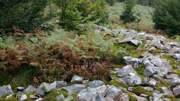 Jentiletxe tumuloa 3