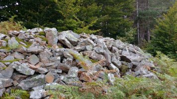 Jentiletxe tumuloa 2