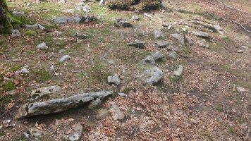 Pagarreta trikuharria 4