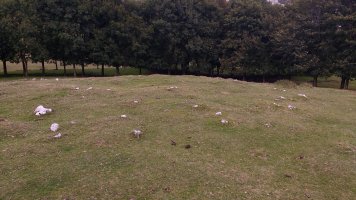 Gorostiaran Ek. tumuloa 2