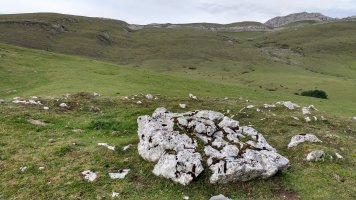 Gorostiaren Sart. trikuharria 4