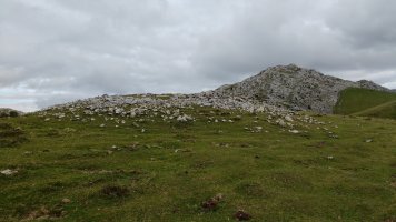 Aizkorritxo trikuharria 5