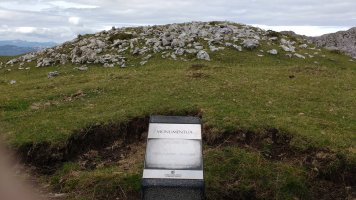 Aizkorritxo trikuharria (2017)