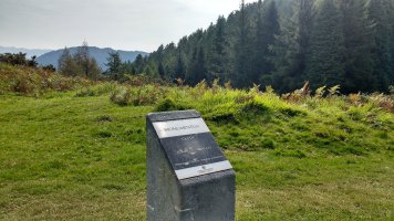 Oleta tumuloa (2017)