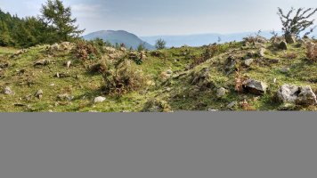 Iruarrieta trikuharria 2