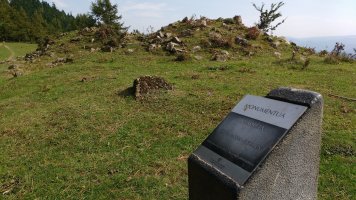 Iruarrieta trikuharria (2017)