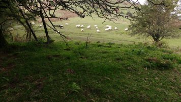 Iruarrieta II trikuharria 2