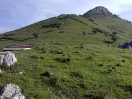 Ausokoi II trikuharria 3