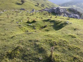 Ausokoi II trikuharria 2