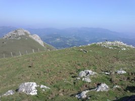 Ausokoi trikuharria 5