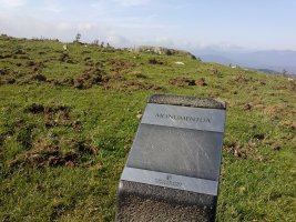 Ausokoi trikuharria (2017)