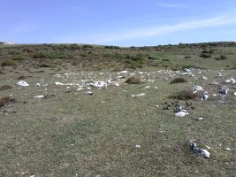 Fuente Fria (Iturriotz) trikuharria 3