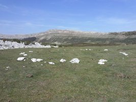 Balsa Fria (Idoiotz) 2 hego harrespila (2017)