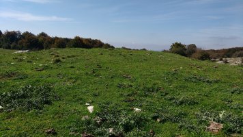 Bekosare trikuharria 4