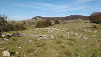 Sta. Marina (Txopordi) trikuharria (2017)