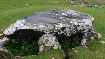 Jentilarri trikuharria 4