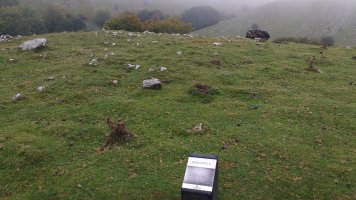 Uidui I Ek. trikuharria (2017)