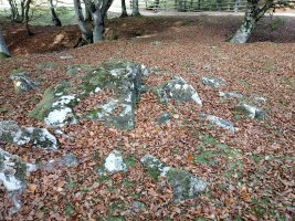 Pagomakor trikuharria 2