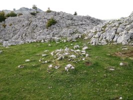 Erdikosaroia tumuloa 2