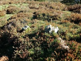 Anbotoste trikuharria 2