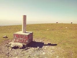 Gorbeia gaina (1482m) erpin geodesikoa