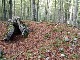 Ansaretako Zaparra trikuharria 2