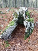 Ansaretako Zaparra trikuharria (2017)