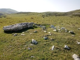 Maantsa trikuharria 3