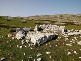 Obioneta Hegoaldea trikuharria (2017)