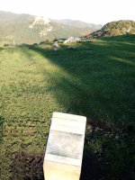 Abilleta zista (2017)