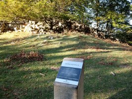 Garagartza trikuharria (2017)