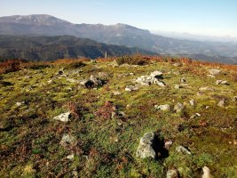 Saiputzueta trikuharria 3