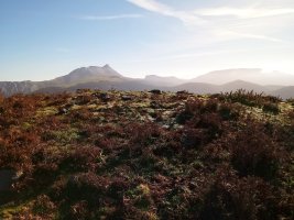 Saiputzueta trikuharria 2