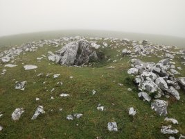 Artzanburu trikuharria