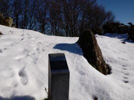 Atxolin trikuharria (2017)