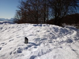 Pagobedeinkatua tumuloa 2