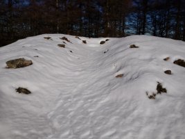 Naasiko Goena tumuloa 2