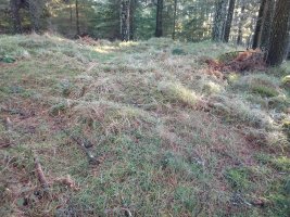 Kanpaizulo tumuloa 2