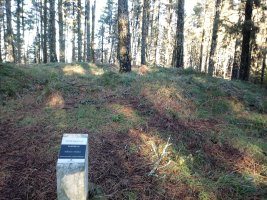 Kanpaizulo tumuloa (2017)