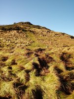 Olaburu trikuharria 3