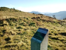 Olaburu trikuharria (2017)