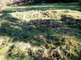 Diruzulo trikuharria 3