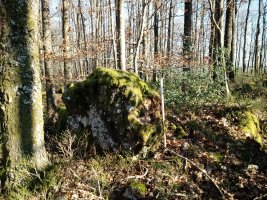 Pikanda (Urietagaña) tontorra