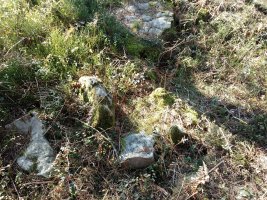 Arratolagaña trikuharria