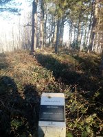 Amutxanda trikuharria (2017)