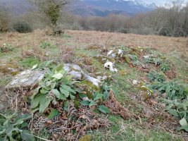 Motxotegi II tumuloa 2