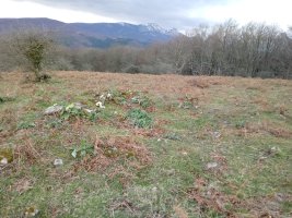 Motxotegi II tumuloa (2017)